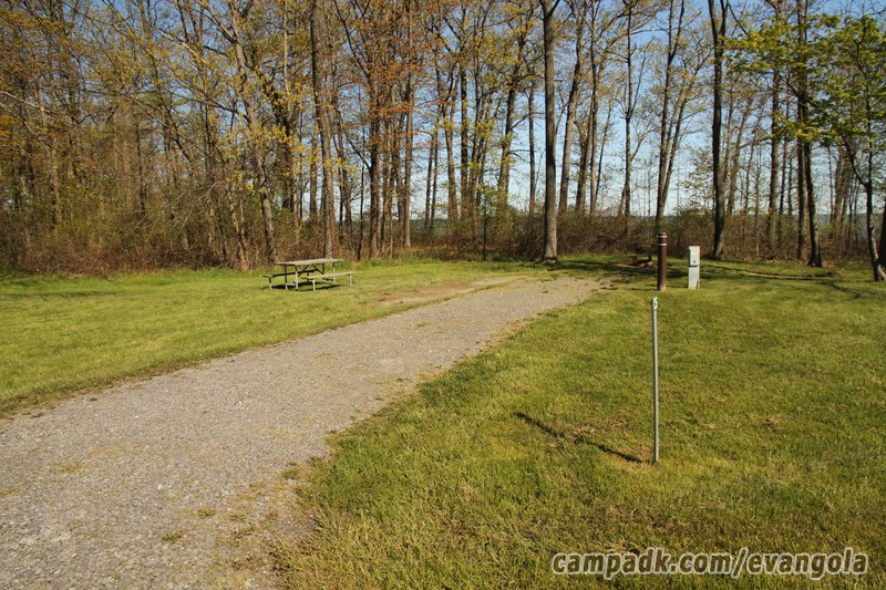 Campsite Photo of Site 15 at Evangola State Park, New York - Looking at Site from Road Sign Visible