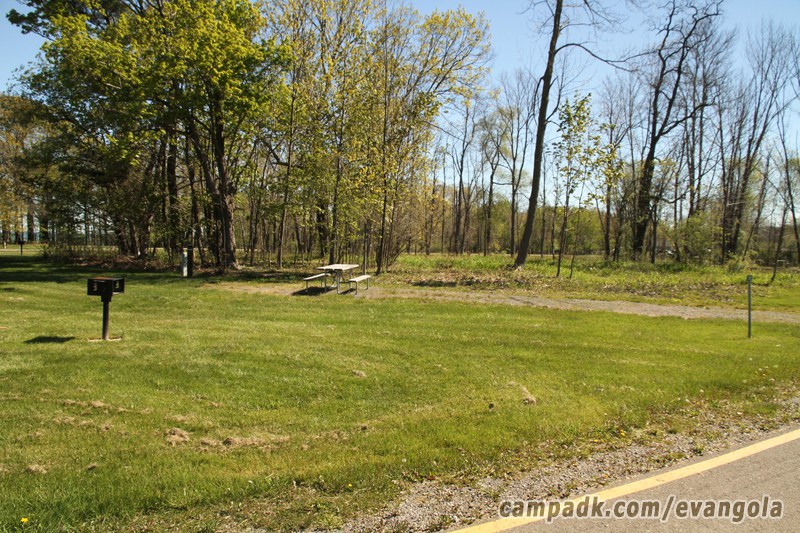 Campsite Photo of Site 38 at Evangola State Park, New York - Looking at Site from Road Sign Visible