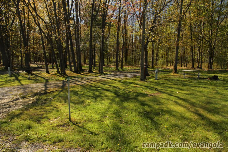 Campsite Photo of Site 48 at Evangola State Park, New York - Looking at Site from Road Sign Visible