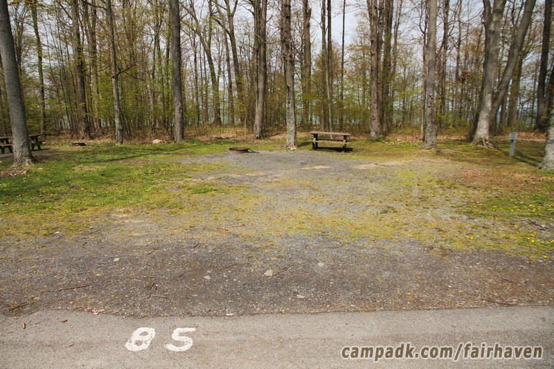 Campsite Photo of Site 85 at Fair Haven Beach State Park, New York - Looking at Site from Road Sign Visible