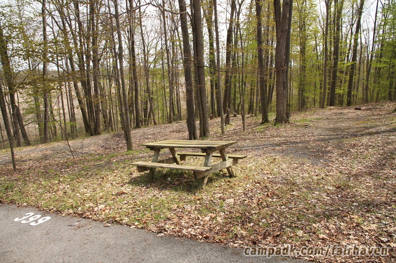 Campsite Photo of Site 399 at Fair Haven Beach State Park, New York - Looking at Site from Road Sign Visible