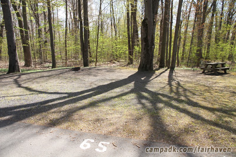 Campsite Photo of Site 65 at Fair Haven Beach State Park, New York - Looking at Site from Road Sign Visible