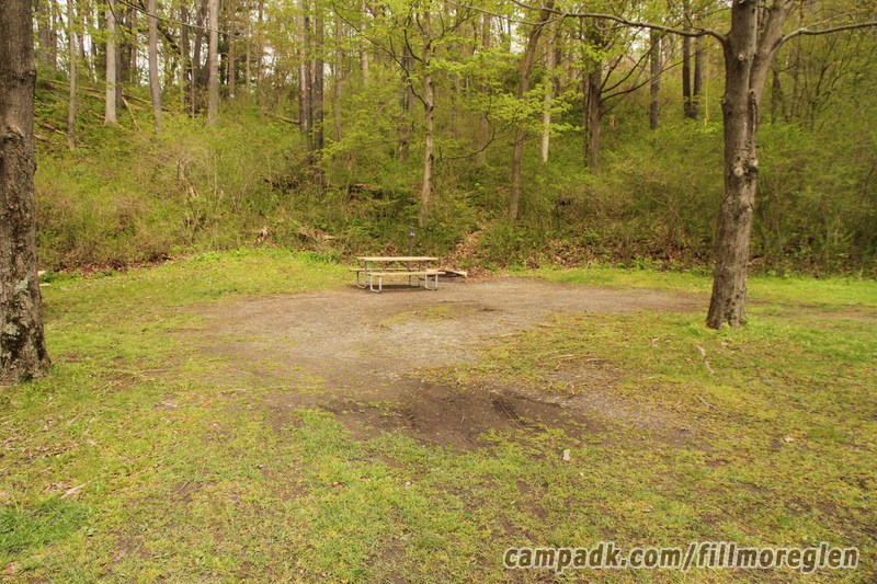Campsite Photo of Site 60 at Fillmore Glen State Park, New York - Looking at Site from Road Sign Visible