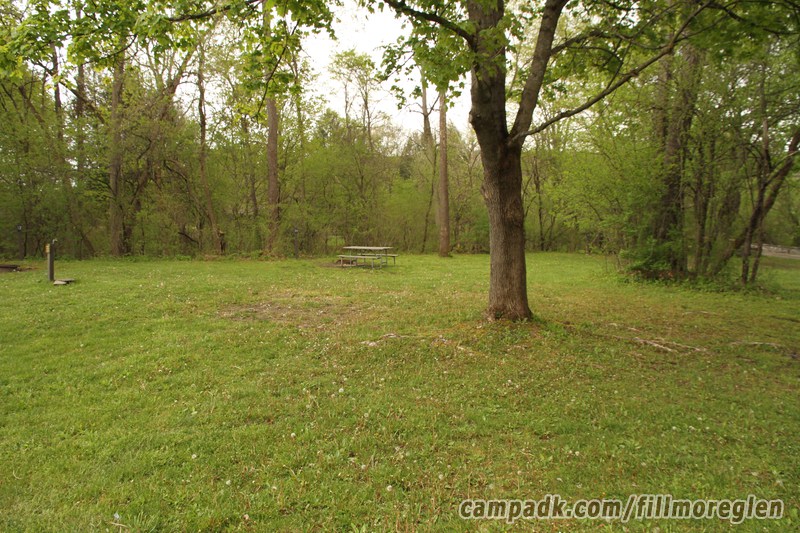 Campsite Photo of Site 30 at Fillmore Glen State Park, New York - Looking at Site from Road Sign Visible