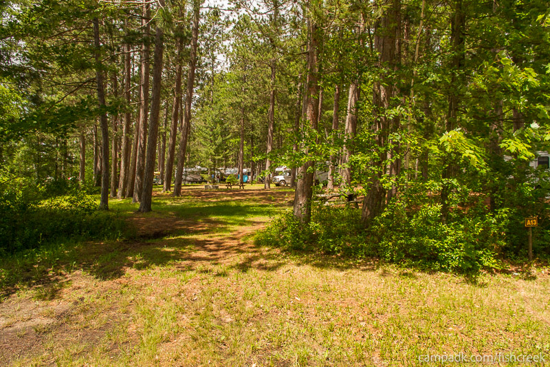 Campsite Photo of Site 88 at Fish Creek Pond Campground, New York - Looking at Site from Road Sign Visible