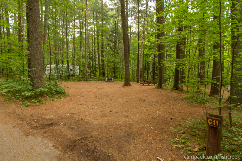 Campsite Photo of Site 40 at Fish Creek Pond Campground, New York - Looking at Site from Road Sign Visible