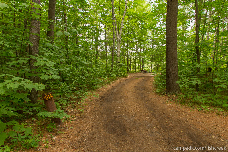 Campsite Photo of Site 45 at Fish Creek Pond Campground, New York - Looking at Site from Road Sign Visible