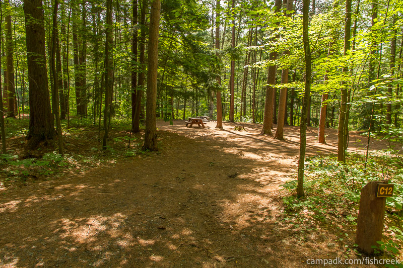 Campsite Photo of Site 41 at Fish Creek Pond Campground, New York - Looking at Site from Road Sign Visible