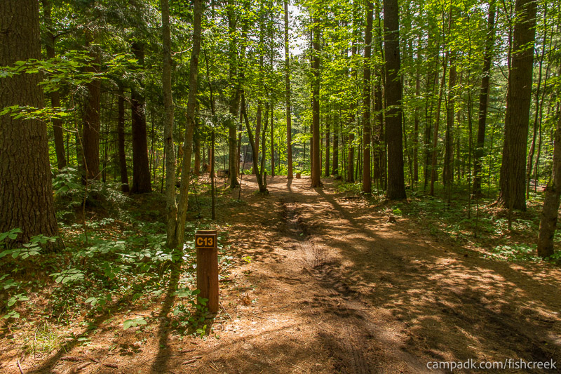 Campsite Photo of Site 42 at Fish Creek Pond Campground, New York - Looking at Site from Road Sign Visible