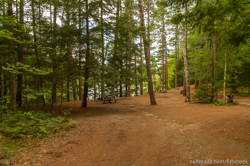 Campsite Photo of Site F25 at Fish Creek Pond Campground, New York - Looking at Site from Road Sign Visible
