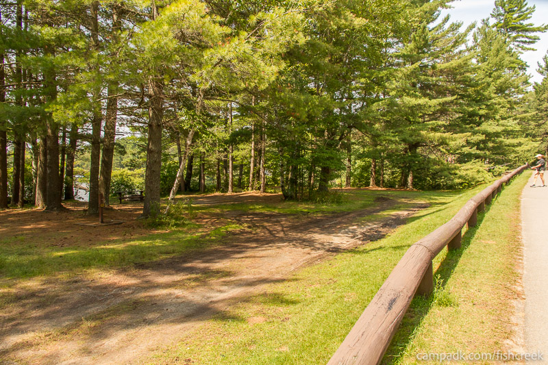 Campsite Photo of Site 35 at Fish Creek Pond Campground, New York - Looking at Site from Road Sign Visible