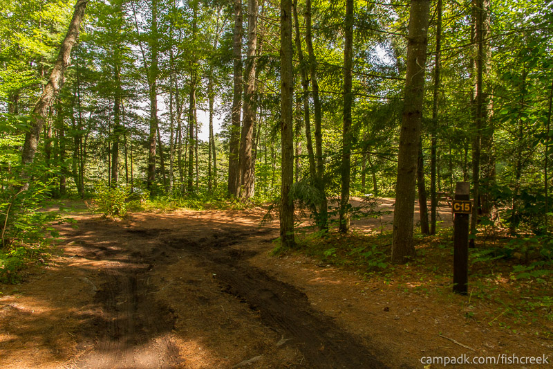 Campsite Photo of Site 44 at Fish Creek Pond Campground, New York - Looking at Site from Road Sign Visible