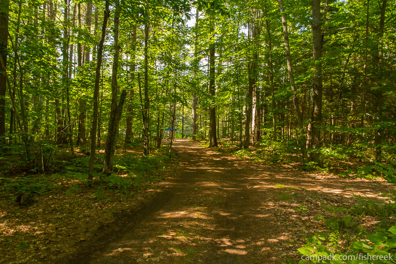 Campsite Photo of Site 23 at Fish Creek Pond Campground, New York - Looking at Site from Road Sign Visible