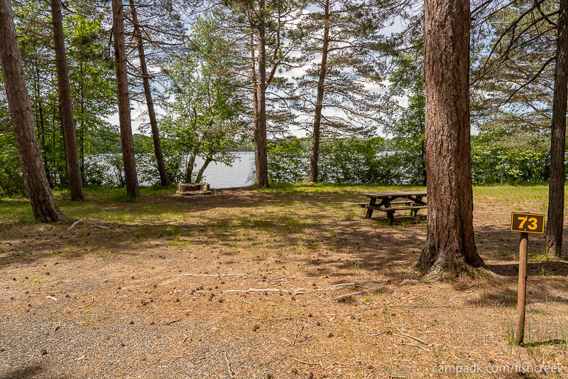 Campsite Photo of Site 99 at Fish Creek Pond Campground, New York - Looking at Site from Road Sign Visible
