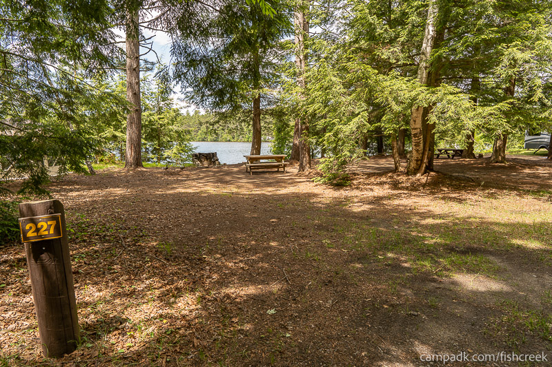 Campsite Photo of Site 255 at Fish Creek Pond Campground, New York - Looking at Site from Road Sign Visible
