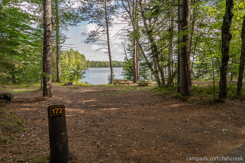 Campsite Photo of Site 201 at Fish Creek Pond Campground, New York - Looking at Site from Road Sign Visible