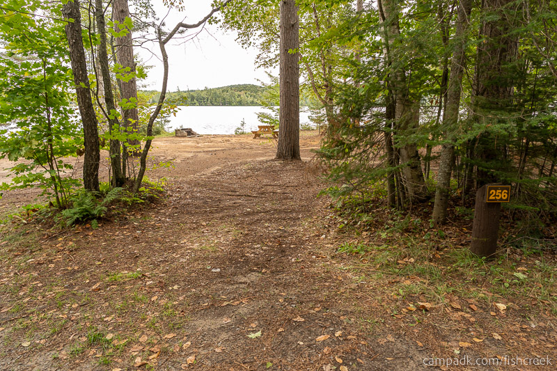 Campsite Photo of Site 284 at Fish Creek Pond Campground, New York - Looking at Site from Road Sign Visible