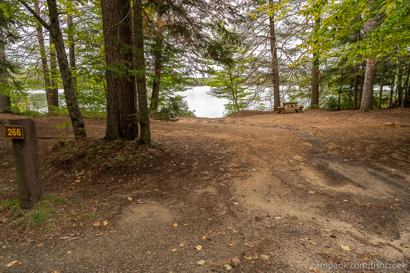 Campsite Photo of Site 294 at Fish Creek Pond Campground, New York - Looking at Site from Road Sign Visible