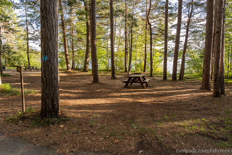 Campsite Photo of Site 127 at Fish Creek Pond Campground, New York - Looking at Site from Road Sign Visible