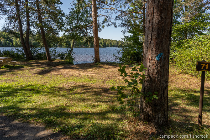 Campsite Photo of Site 95 at Fish Creek Pond Campground, New York - Looking at Site from Road Sign Visible
