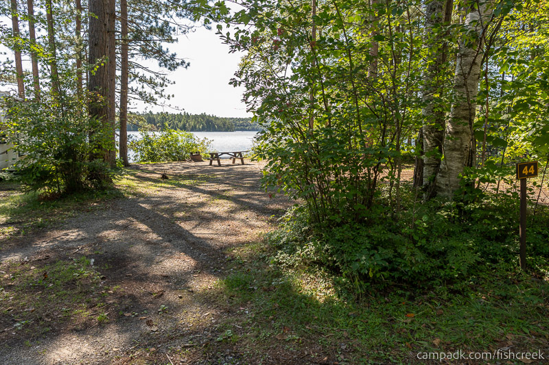 Campsite Photo of Site 54 at Fish Creek Pond Campground, New York - Looking at Site from Road Sign Visible
