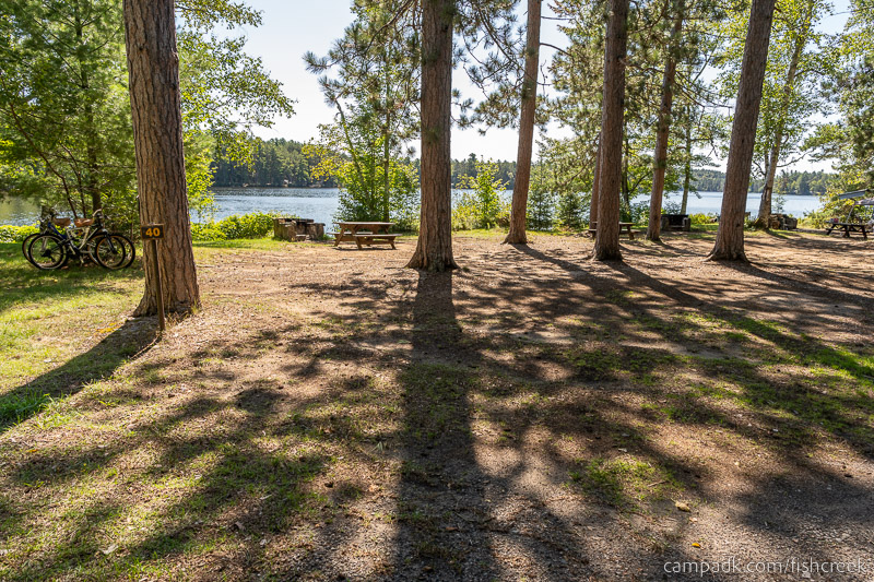 Campsite Photo of Site 50 at Fish Creek Pond Campground, New York - Looking at Site from Road Sign Visible