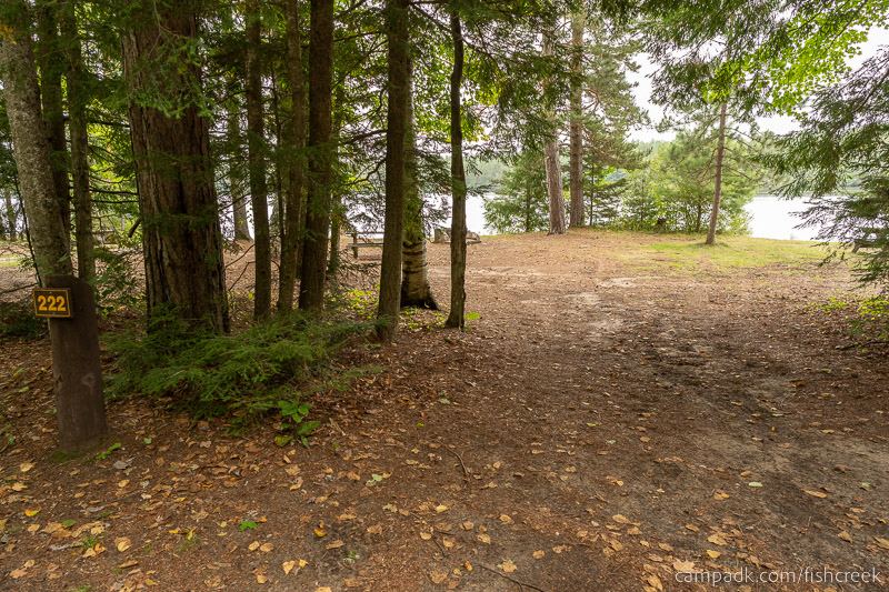 Campsite Photo of Site 250 at Fish Creek Pond Campground, New York - Looking at Site from Road Sign Visible