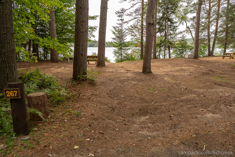 Campsite Photo of Site 295 at Fish Creek Pond Campground, New York - Looking at Site from Road Sign Visible