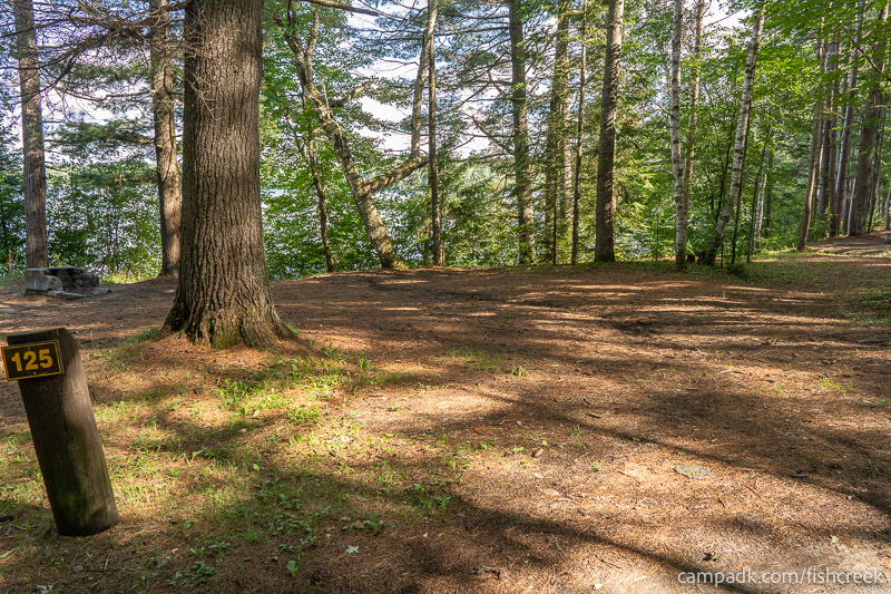 Campsite Photo of Site 157 at Fish Creek Pond Campground, New York - Looking at Site from Road Sign Visible