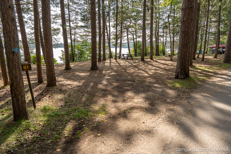 Campsite Photo of Site 113 at Fish Creek Pond Campground, New York - Looking at Site from Road Sign Visible
