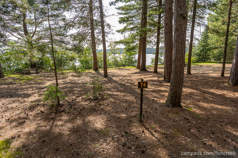 Campsite Photo of Site 101 at Fish Creek Pond Campground, New York - Looking at Site from Road Sign Visible