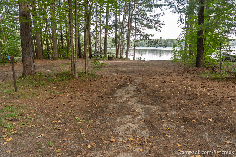 Campsite Photo of Site 55 at Fish Creek Pond Campground, New York - Looking at Site from Road Sign Visible