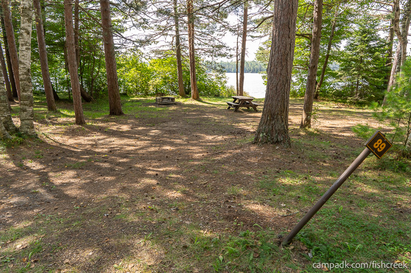 Campsite Photo of Site 121 at Fish Creek Pond Campground, New York - Looking at Site from Road Sign Visible