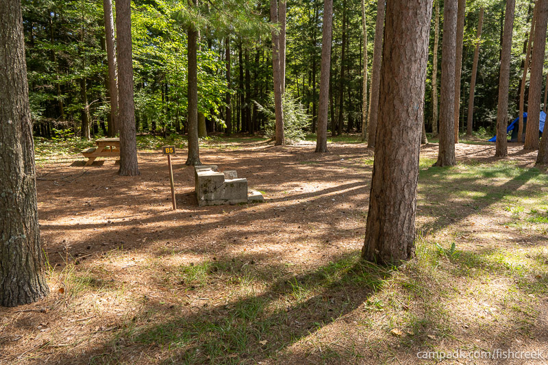 Campsite Photo of Site 7 at Fish Creek Pond Campground, New York - Looking at Site from Road Sign Visible