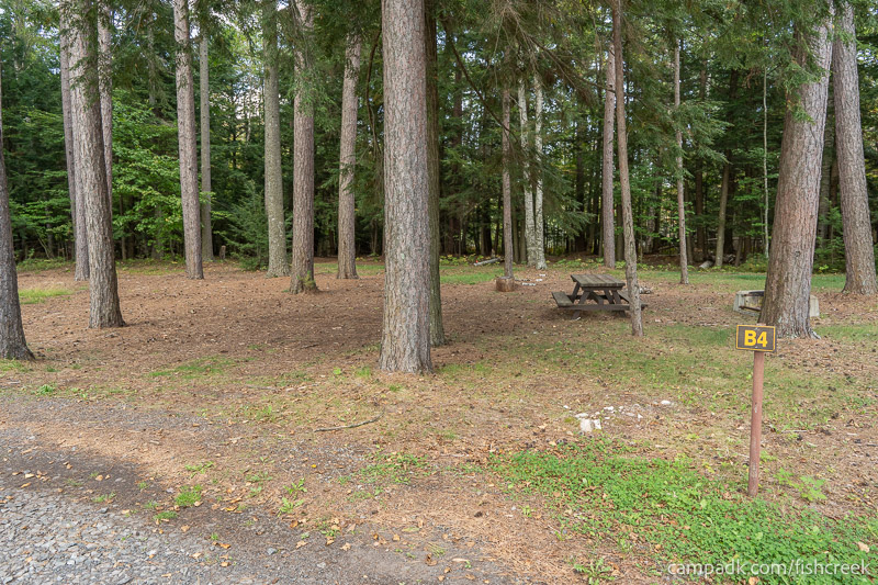 Campsite Photo of Site 5 at Fish Creek Pond Campground, New York - Looking at Site from Road Sign Visible