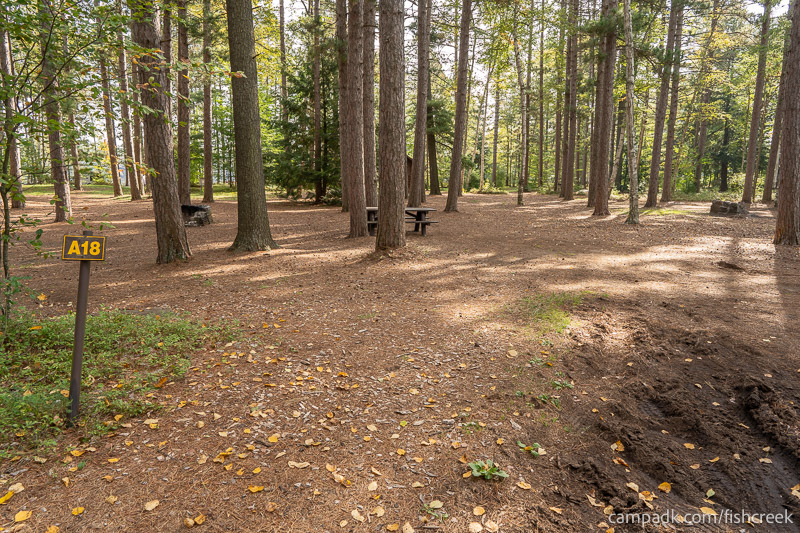 Campsite Photo of Site 102 at Fish Creek Pond Campground, New York - Looking at Site from Road Sign Visible