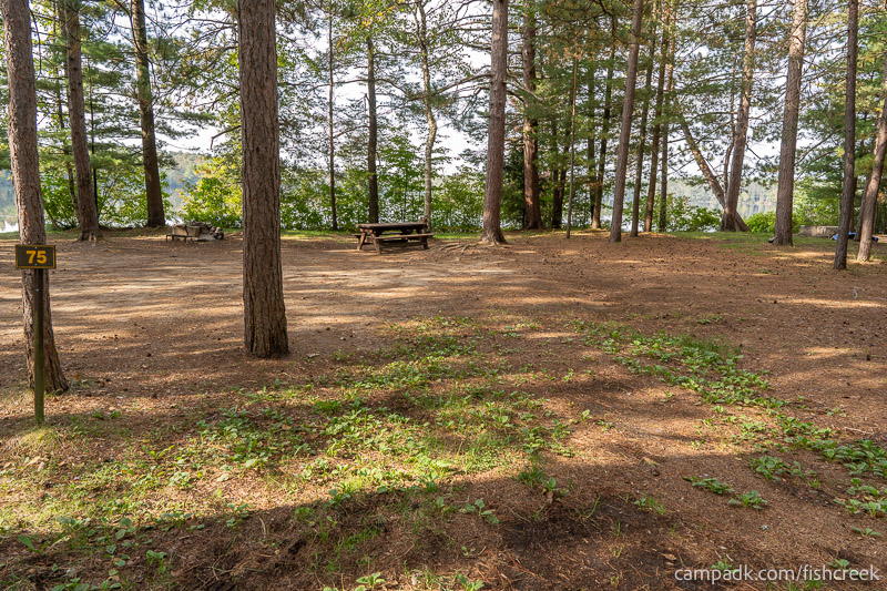 Campsite Photo of Site 104 at Fish Creek Pond Campground, New York - Looking at Site from Road Sign Visible