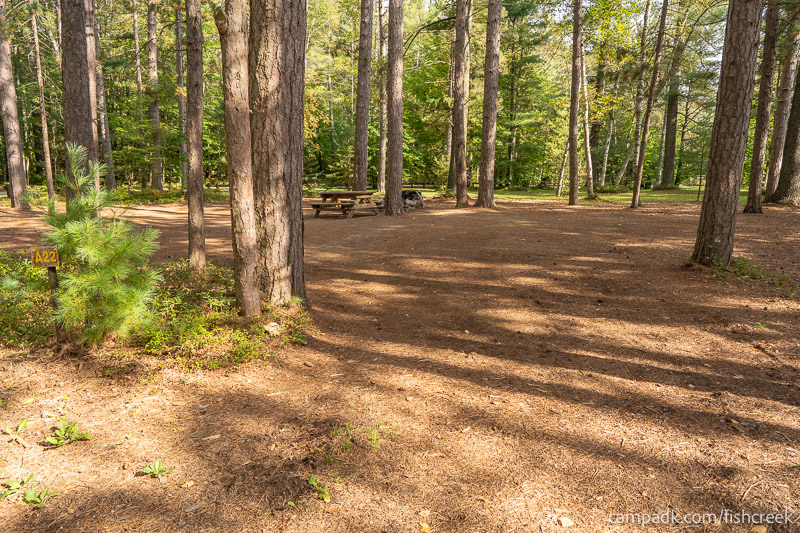 Campsite Photo of Site 109 at Fish Creek Pond Campground, New York - Looking at Site from Road