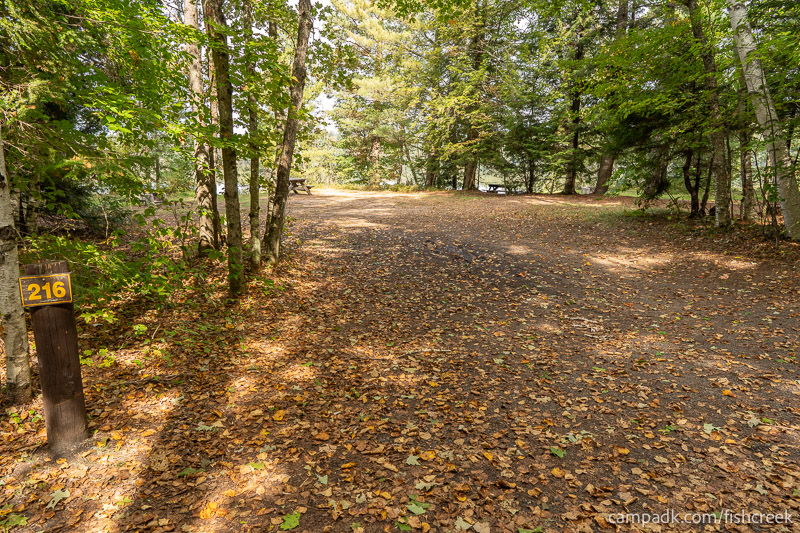 Campsite Photo of Site 244 at Fish Creek Pond Campground, New York - Looking at Site from Road Sign Visible