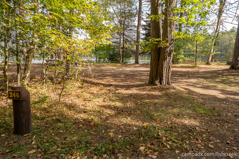 Campsite Photo of Site 274 at Fish Creek Pond Campground, New York - Looking at Site from Road Sign Visible