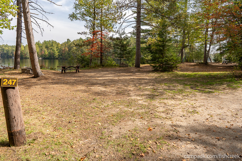 Campsite Photo of Site 275 at Fish Creek Pond Campground, New York - Looking at Site from Road Sign Visible