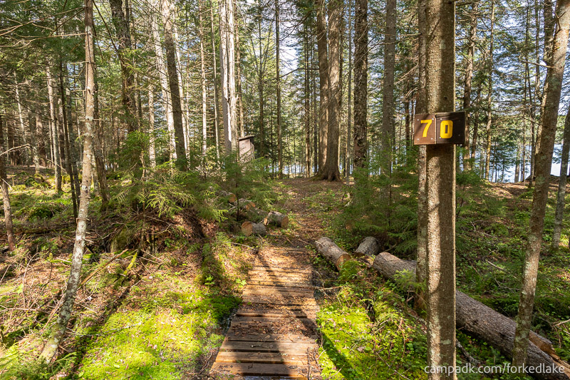 Campsite Photo of Site 70 at Forked Lake Campground, New York - View From Water on Approach