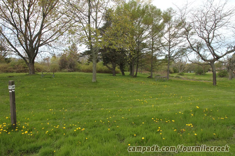 Campsite Photo of Site 309 at Four Mile Creek State Park, New York - Looking at Site from Road Sign Visible