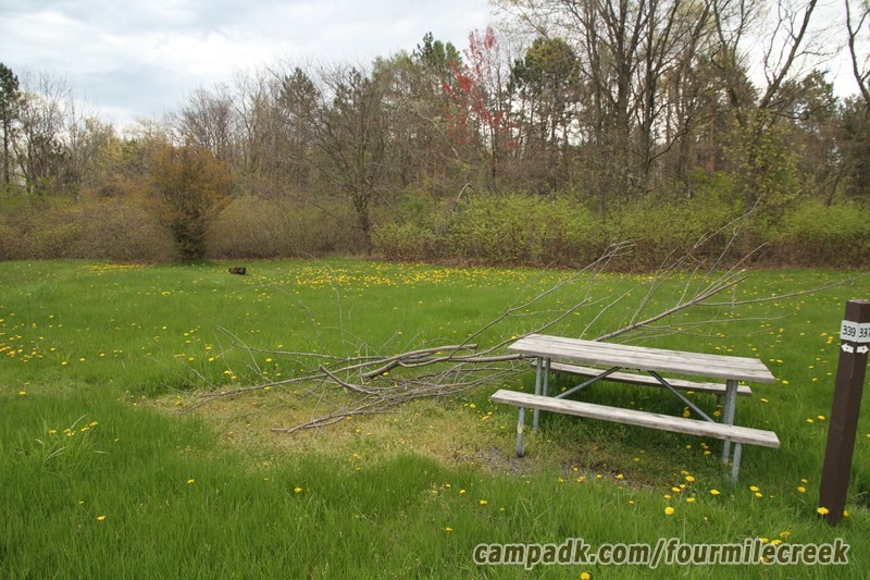 Campsite Photo of Site 339 at Four Mile Creek State Park, New York - Looking at Site from Road Sign Visible
