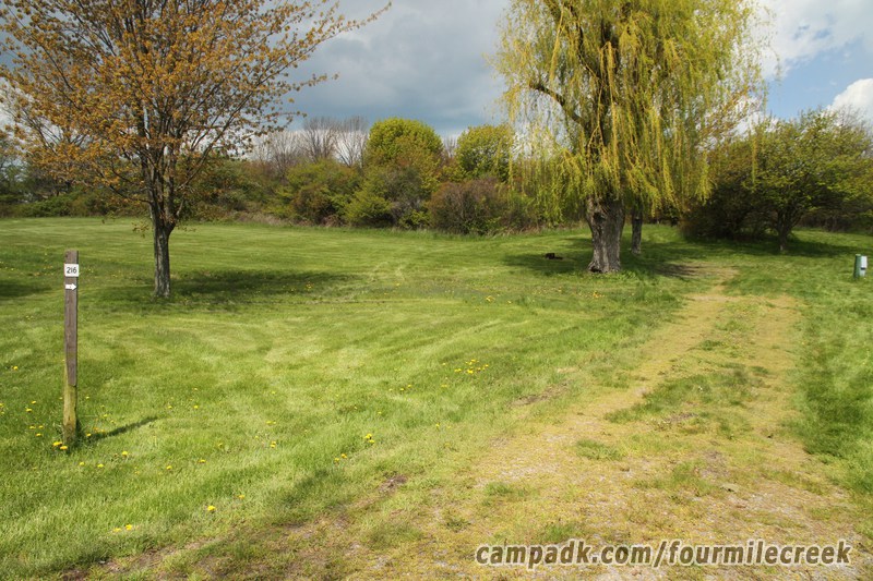 Campsite Photo of Site 216 at Four Mile Creek State Park, New York - Looking at Site from Road Sign Visible