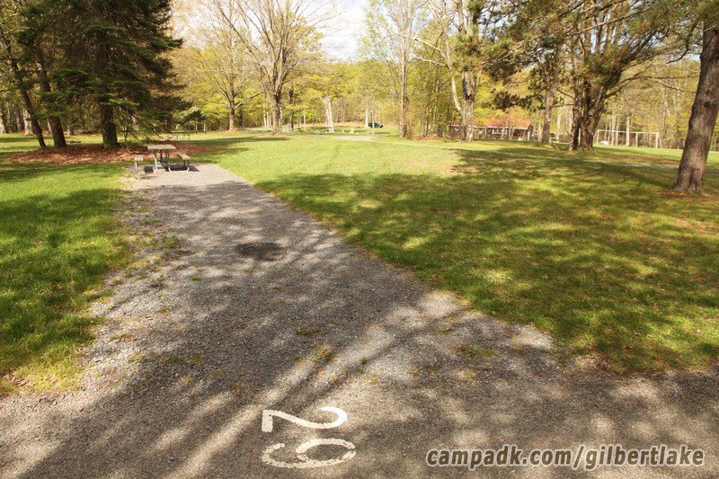 Campsite Photo of Site 29 at Gilbert Lake State Park, New York - Looking at Site from Road Sign Visible