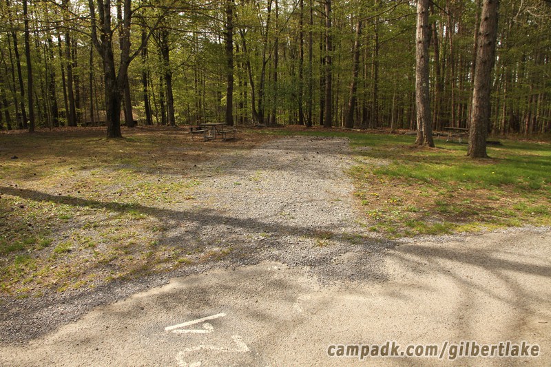 Campsite Photo of Site 24 at Gilbert Lake State Park, New York - Looking at Site from Road Sign Visible