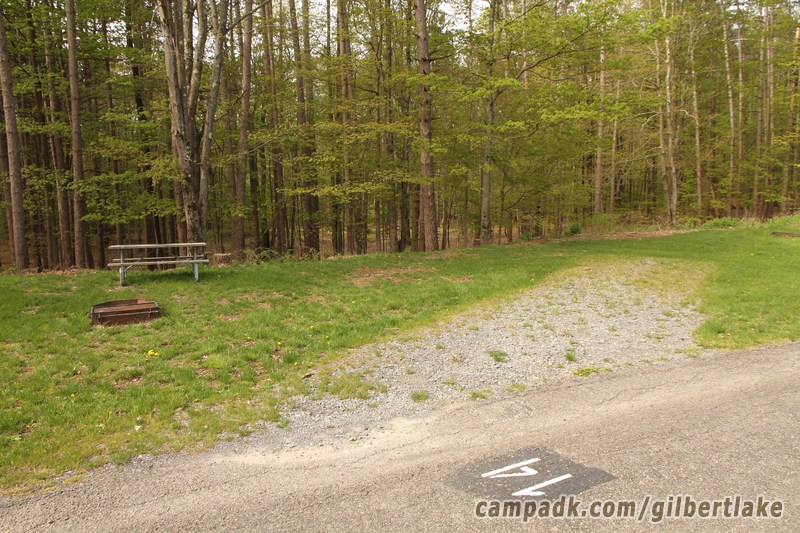 Campsite Photo of Site 14 at Gilbert Lake State Park, New York - Looking at Site from Road Sign Visible