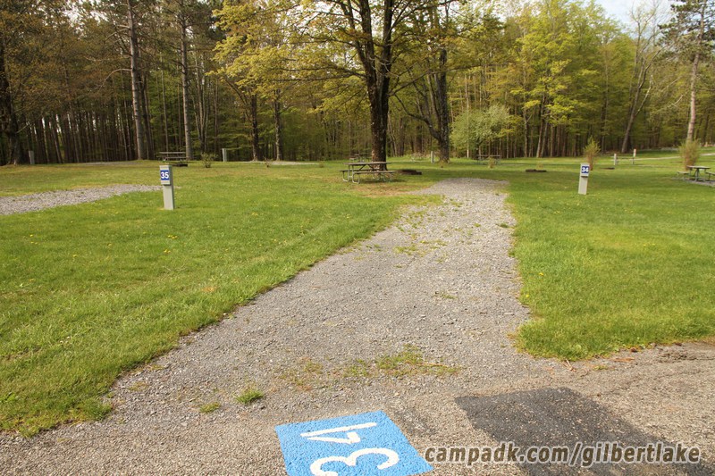 Campsite Photo of Site 34 at Gilbert Lake State Park, New York - Looking at Site from Road Sign Visible