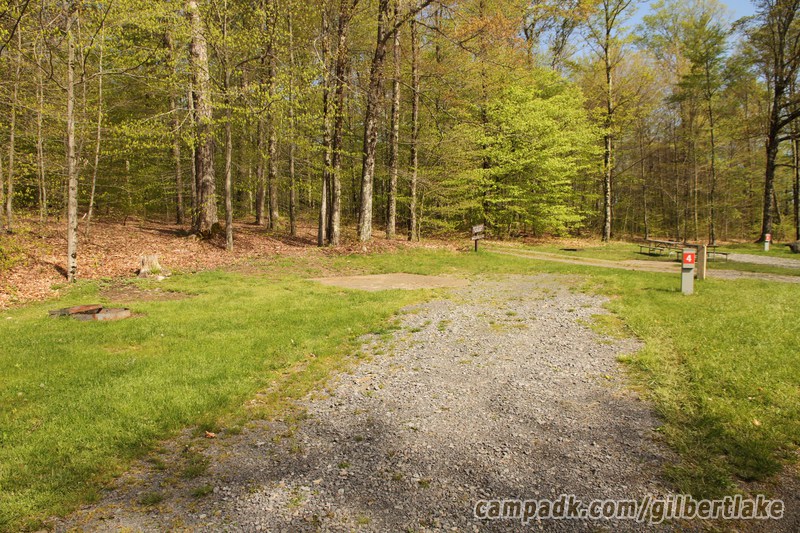 Campsite Photo of Site 4 at Gilbert Lake State Park, New York - Looking at Site from Road Sign Visible